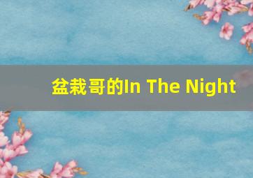 盆栽哥的In The Night